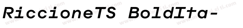 RiccioneTS BoldIta字体转换